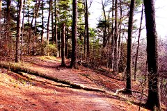 photo 0003